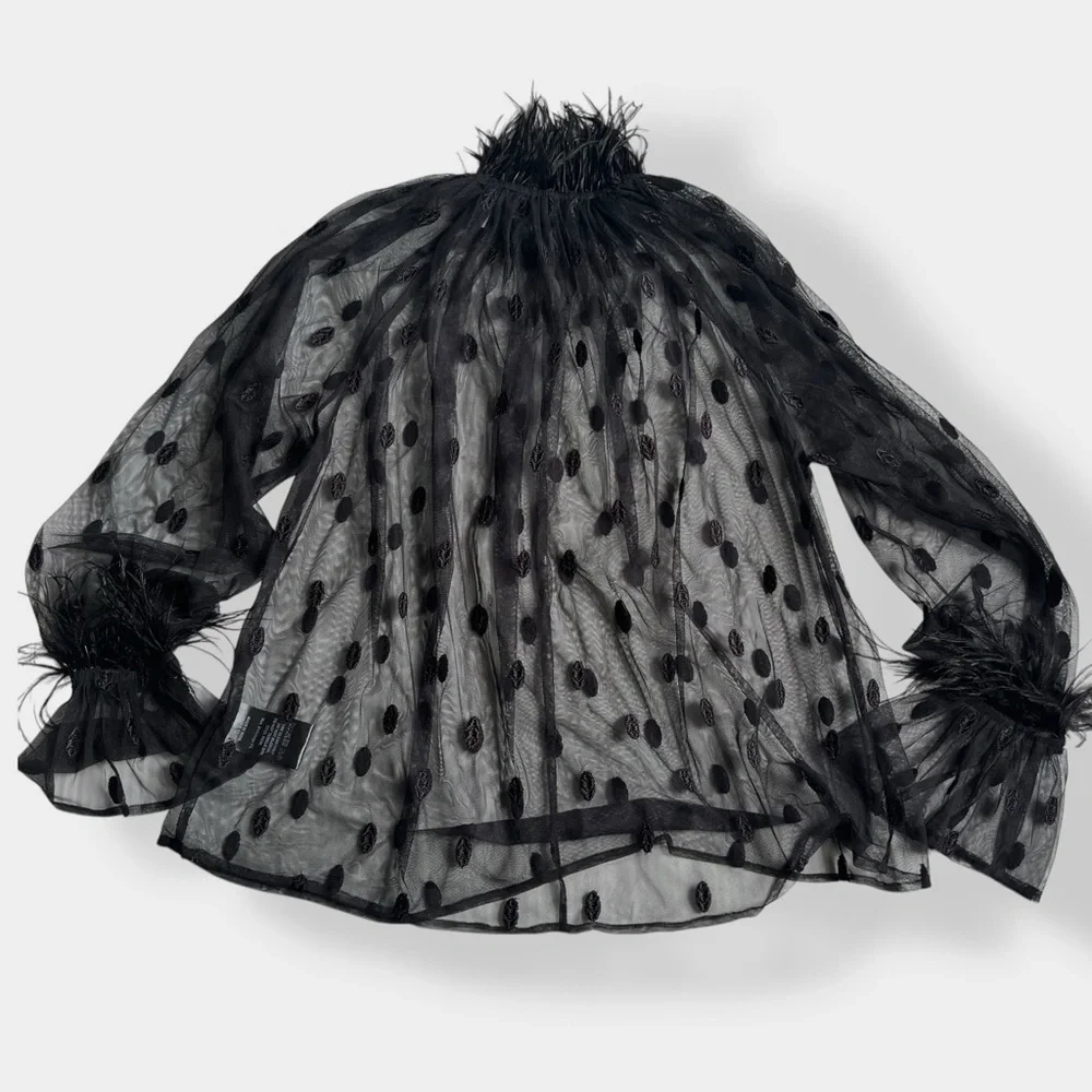 Anthropologie Rdalamal Black Ruffled Sheer Blouse Long Sleeve Feather Trim New M - Picture 5 of 13